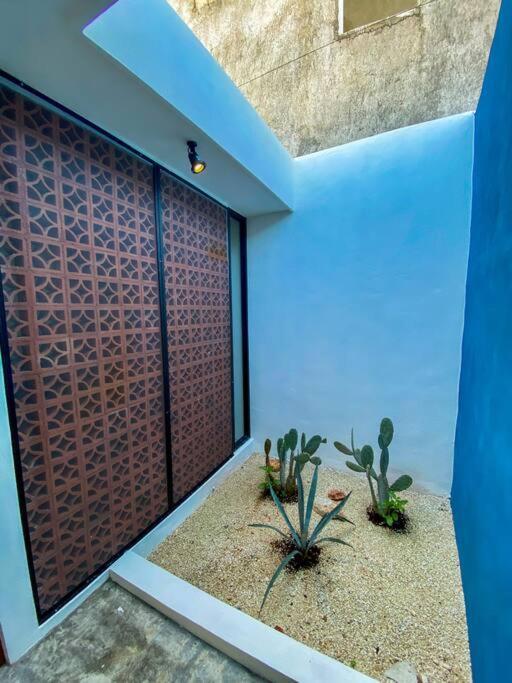 Modern Casa With Pool 7 Mins From Centro 5Min La Plancha Park Villa Мерида Екстериор снимка