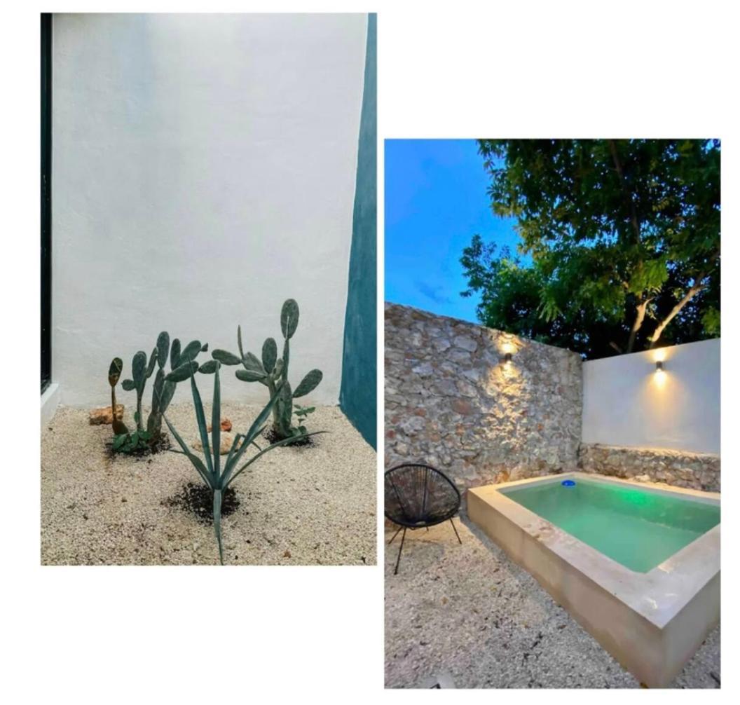 Modern Casa With Pool 7 Mins From Centro 5Min La Plancha Park Villa Мерида Екстериор снимка